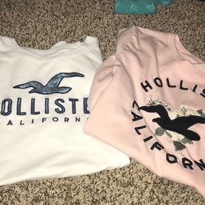 hollister tees